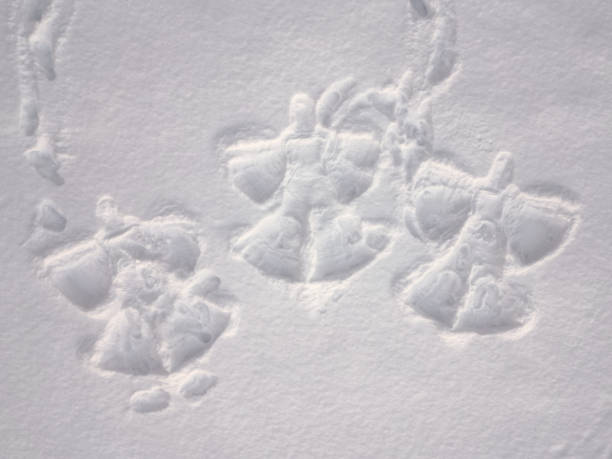 istock Aerial view of three snow angels 1829810850