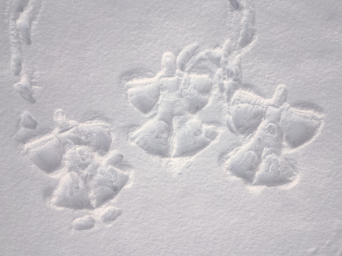 Three snow angels and footprints, top down aerial view