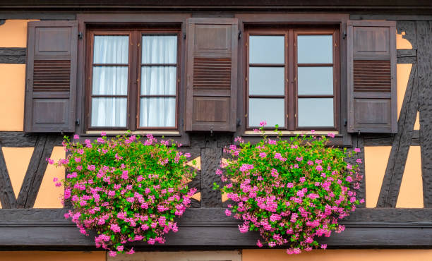 istock Windows with geraniums on  half-timbered house,Alsace, France 1829851363