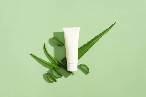 istock Fresh aloe vera is placed under an unlabeled cosmetic tube. Empty space for lettering or decorative design. Mockup used for advertising and branding. 1829863261