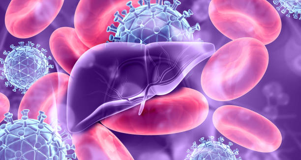 istock Human liver anatomy on virus background 1829890119