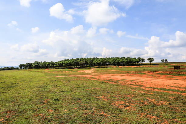 istock China Yunnan Kunming Beidaying Grassland 1829891685