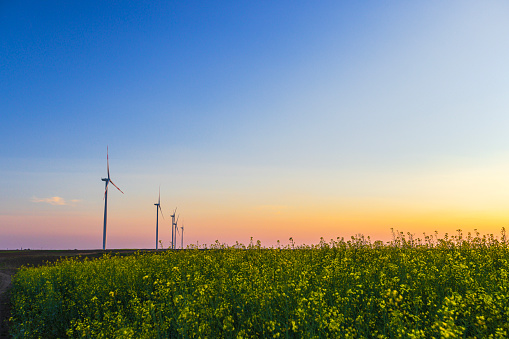 A gold sunset in windmill of La Mola in the balearic island of Formentera.