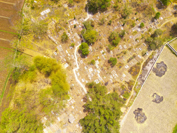 istock Top view of a public cemetery 1829951722