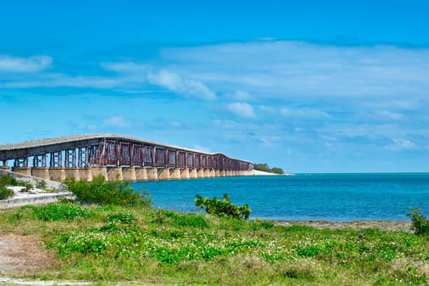 istock Overseas highway bridge from Horseshoe Beach, Florida 1829957637