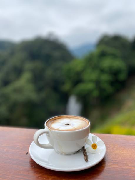 istock A cup of coffee latte 1829957680