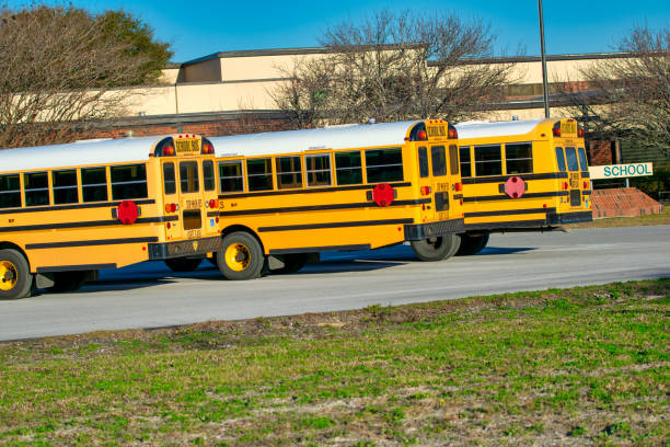 istock Row of School Buses in Florida 1829958094