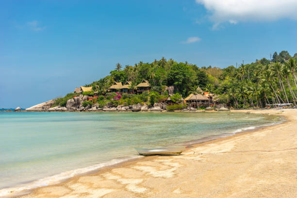 istock Empty calm sunny sandy tropical Sairee beach on exotic Koh Tao island 1829962518