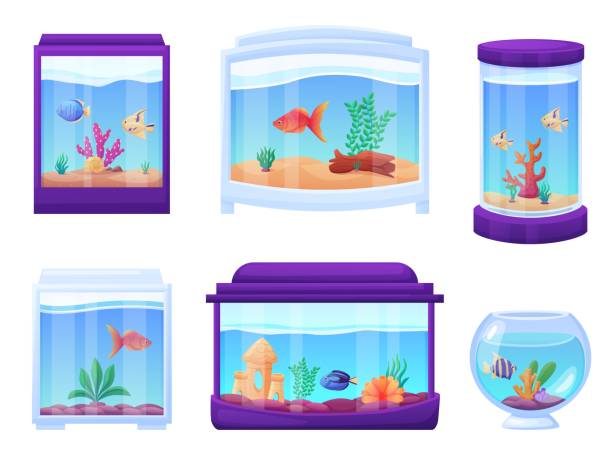 istock Cartoon glass aquariums. Isolated aquarium with exotic tropical fish and underwater plants, shells and wood. Home or cafe decoration, nowaday vector set 1830002038