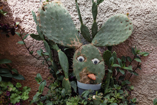 istock Cactus with face and tongue 1830050406