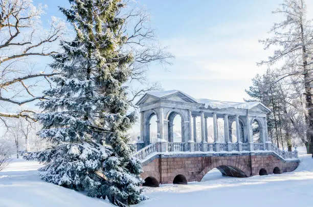 Photo of Alexander park in winter, Pushkin (Tsarskoe Selo), St. Petersburg, Russia