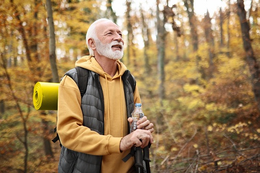 Active Senior Man Hiking with Hiking Poles in Autumn Forest