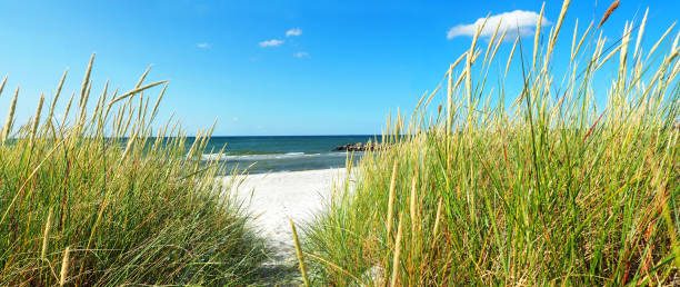 istock Baltic Sea Beach - Panorama 1830082641