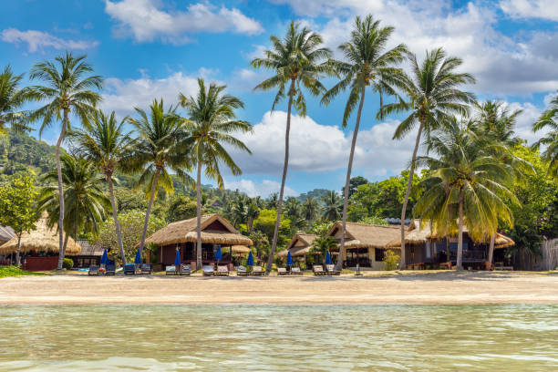 istock Tranquil empty calm sandy tropical paradise Sairee beach on exotic Koh Tao island 1830084926