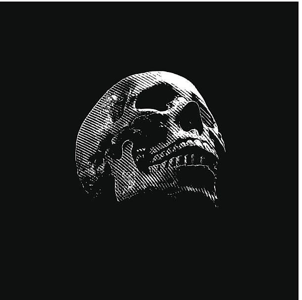 Skull Engraving On Black Background Engraving illustration of a human skull isolated on black. skulls stock illustrations