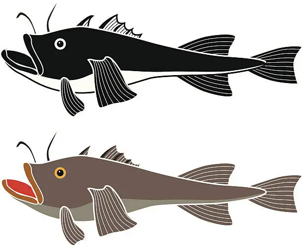 Vector illustration of monkfish