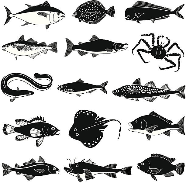 ilustraciones, imágenes clip art, dibujos animados e iconos de stock de fishes de agua salada - saltwater eel