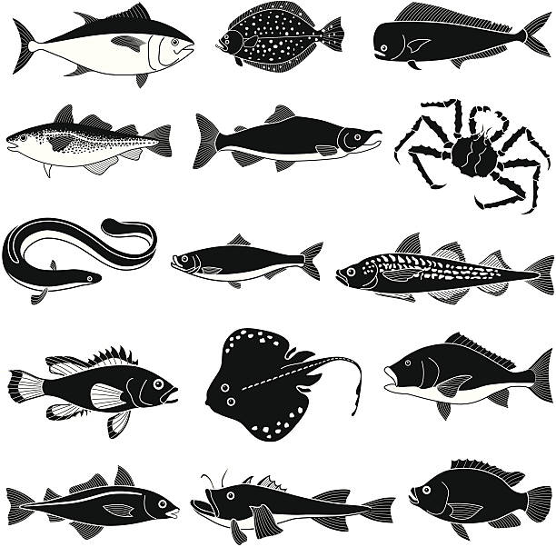 Black saltwater fish icons on white background Vector saltwater fishes that are popular seafood. saltwater eel stock illustrations