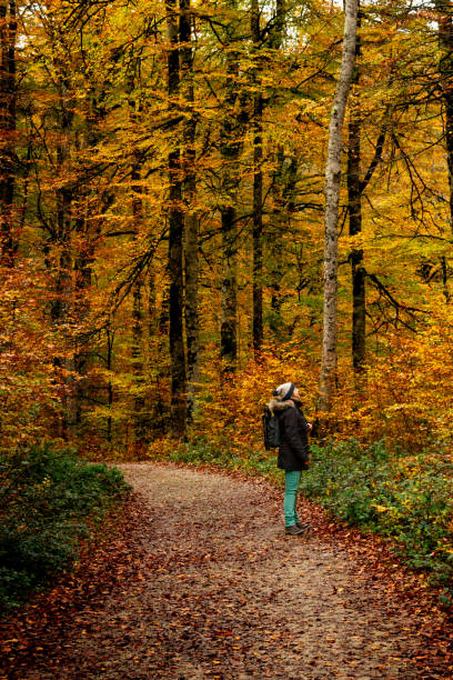 istock Woman in a beech forest in autumn 1830131234