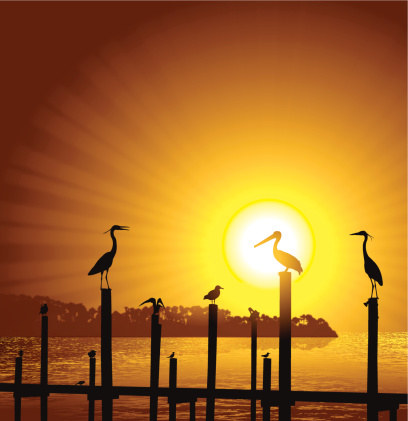 Ocean birds. Graphic silhouette background illustration of Ocean Birds Pier Sun Background - Pelican, Seagull, Crane. Check out my 