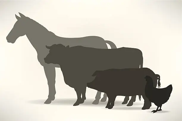 Vector illustration of Farm Animals - Horse, Cow, Pig, Chicken