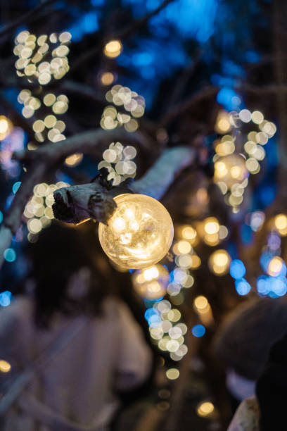 istock Enoshima winter illumination 1830135269
