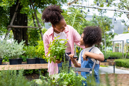 African mother and daughter is choosing vegetable and herb plant from the local garden center nursery with shopping cart full of summer plants for weekend gardening and outdoor