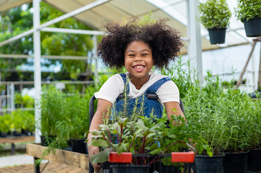 Portrait of African kid is choosing vegetable and herb plant from the local garden center nursery with shopping cart full of summer plants for weekend gardening and outdoor