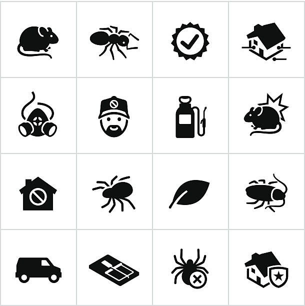 Black Exterminator Icons Exterminator/pest control icons. All white strokes/shapes are cut from the icons and merged allowing the background to show through. rodent trap stock illustrations