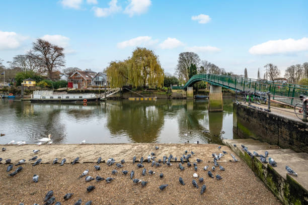 istock Eel Pie Island Foot Bridge from Twickenham 1830150121