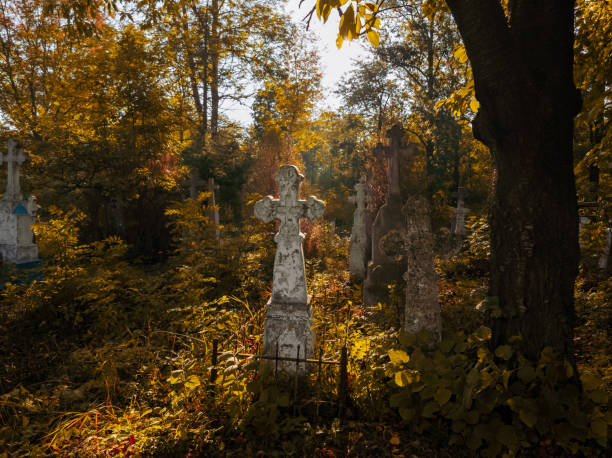 istock A cross over an abandoned grave. 1830175019