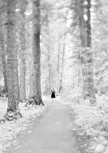 istock Lone figure in a black dress walking down forest path 183017531
