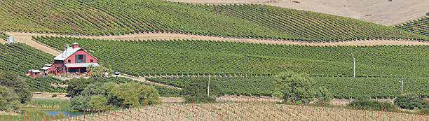 paisaje del valle de napa - california napa valley vineyard farmhouse fotografías e imágenes de stock