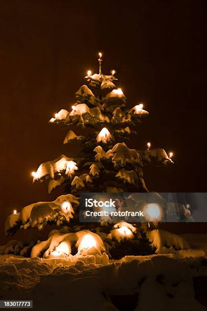 Árvore De Natal Decorada Com Velas Vermelhas - Fotografias de stock e mais imagens de Ao Ar Livre - Ao Ar Livre, Cera, Chama