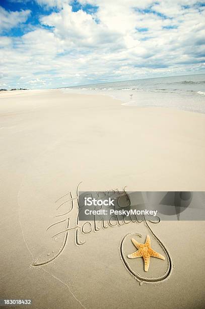 행복함 휴가되시기 축하글 손으로 쓴 메시지 불가사리류 즐거운 연말연시 되세요-문구에 대한 스톡 사진 및 기타 이미지 - 즐거운 연말연시 되세요-문구, 해변, 모래