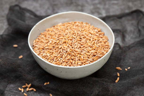 istock Wholegrain uncooked raw spelt in ceramic bowl 1830185430