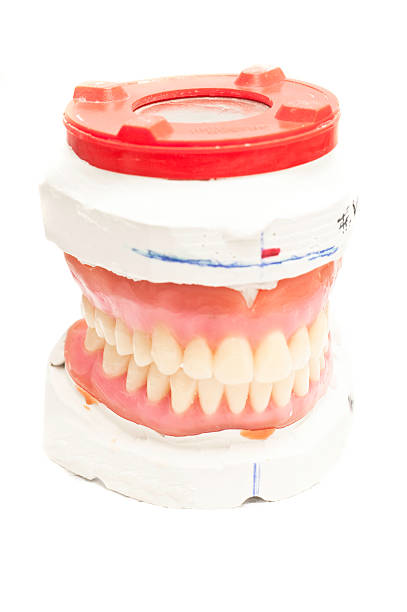 세트마다 이 at 치과교정전문의 - dentures human teeth stack laboratory 뉴스 사진 이미지