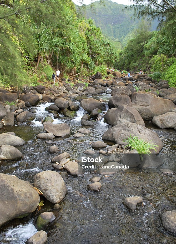 Hanakapai'ai Valley river in Kauai, Hawaii. "Hanakapai'ai Valley in Kauai island, Hawaii.  The image was taken from Kalalau Hiking Trail which is known to be the most dramatic hiking trail in the world. The trail crosses the river and goes further via Na Pali Coast." Backgrounds Stock Photo