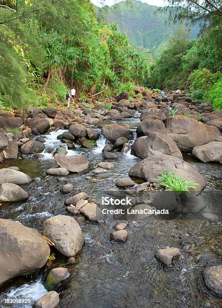 Hanakapaiai Valley River In Kauai Hawaii Stock Photo - Download Image Now - Backgrounds, Beauty In Nature, Boulder - Rock