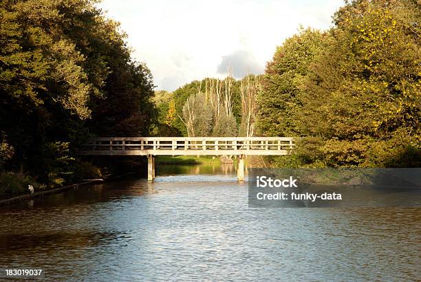 Autunno Segmento - Fotografie stock e altre immagini di Acqua - Acqua, Albero, Ambientazione esterna