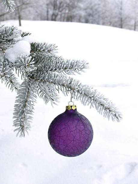 Purple Ornament on Outdoor Pine Bough