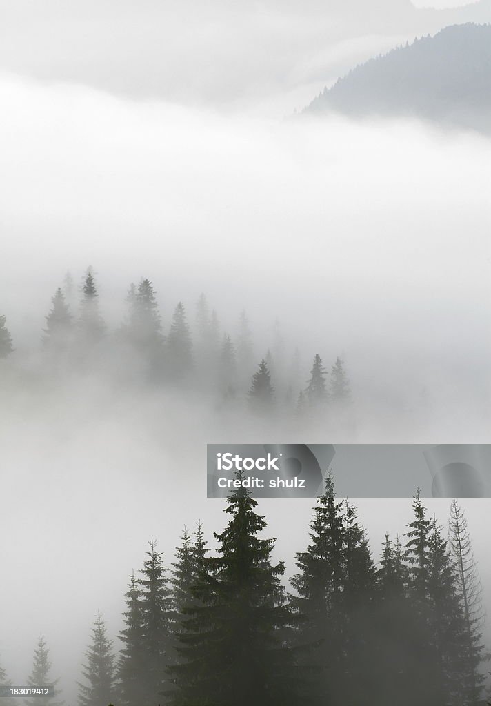 Over clouds. Carpathians fog Fog in Carpathian mountains. Carpathian Mountain Range Stock Photo