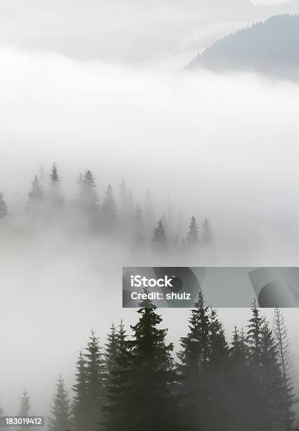 Over Clouds Carpathians Fog Stock Photo - Download Image Now - Carpathian Mountain Range, Cloud - Sky, Cloudscape