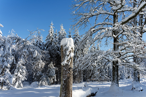 View of a Bavarian winter landscape with lots of snow, blue sky with clouds on a cold winter day, outdoor germany