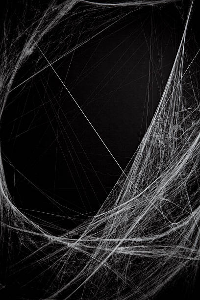 istock background full of cobwebs 183019592