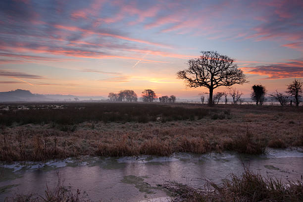 alba invernale sul piana del somerset. - somerset levels foto e immagini stock