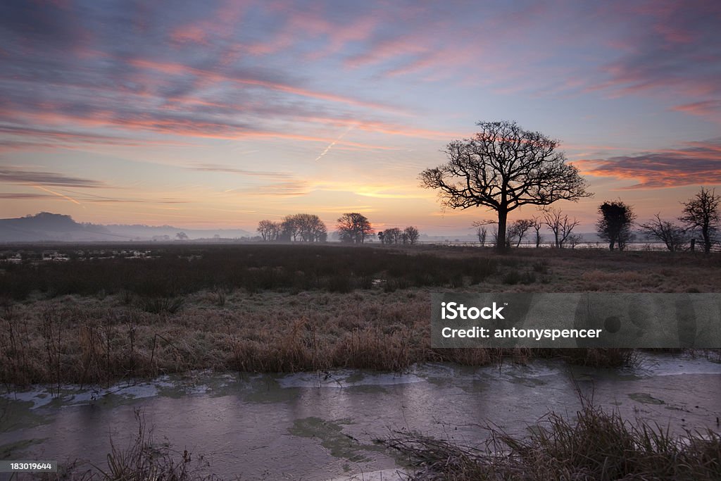 Winter sunrise on the Somerset Levels. a beautiful winter sunrise near Bridgewater on the Somerset Levels. Somerset - England Stock Photo