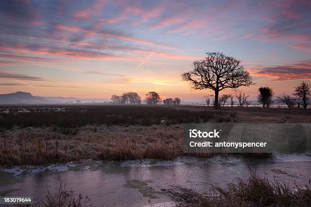 Winter Sunrise On The Somerset Levels Stock Photo - Download Image Now - Somerset - England, Taunton - Somerset, Bridgwater - Somerset