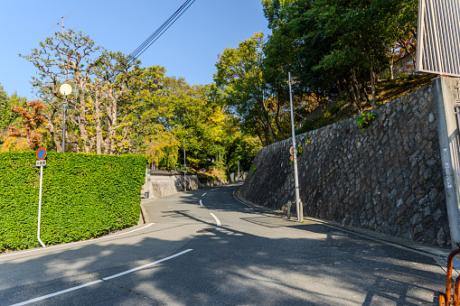 Elegant Streets Near Tennoji Park in Japan