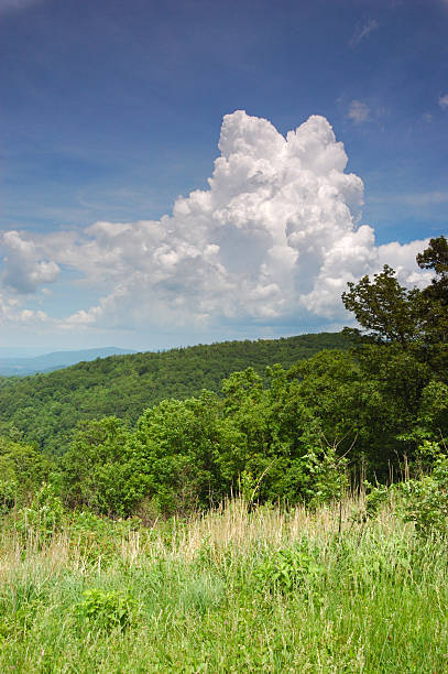 nubes de resorte - treelined tree shenandoah river valley blue ridge mountains fotografías e imágenes de stock